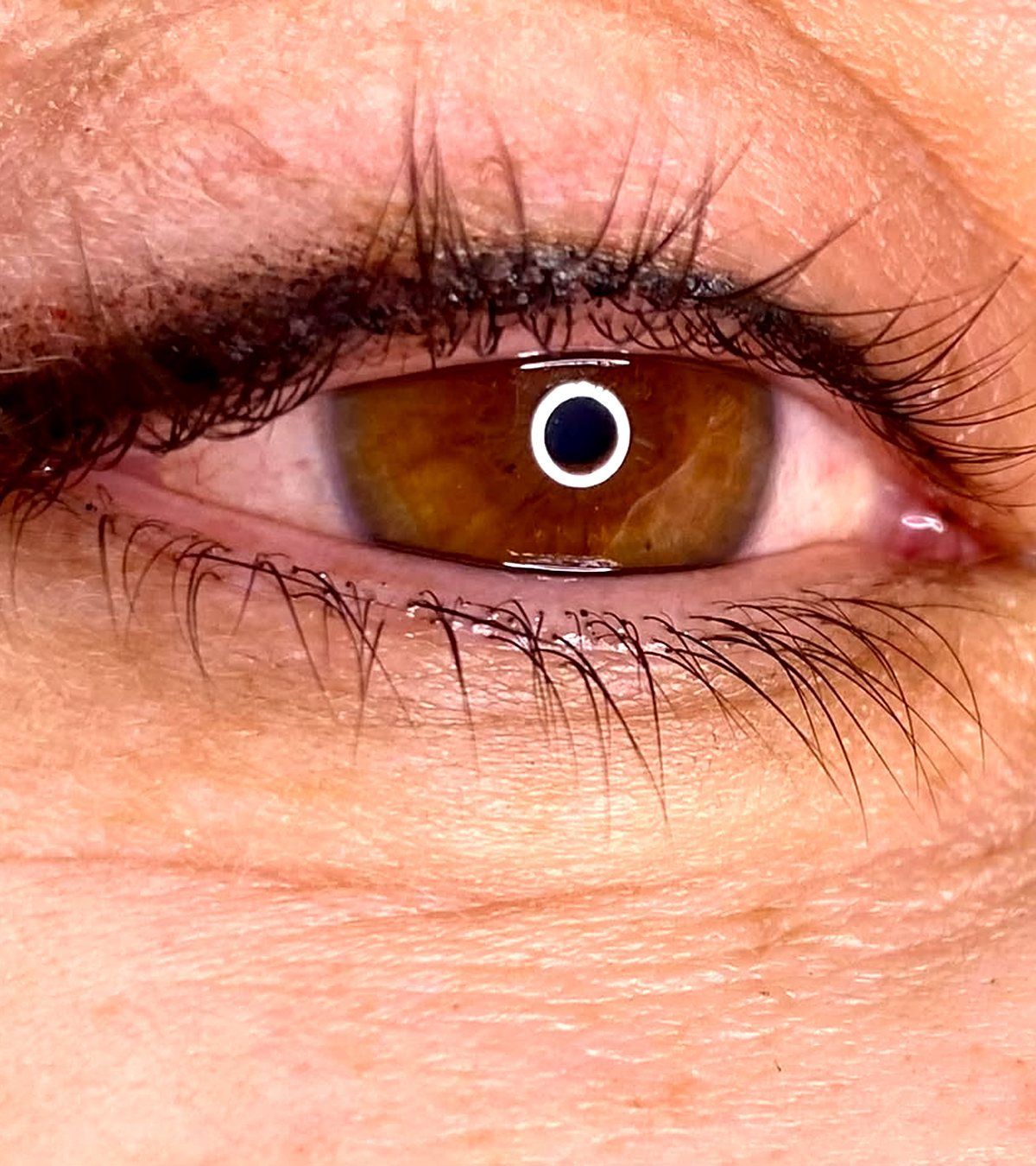 Shaded permanent lash line
