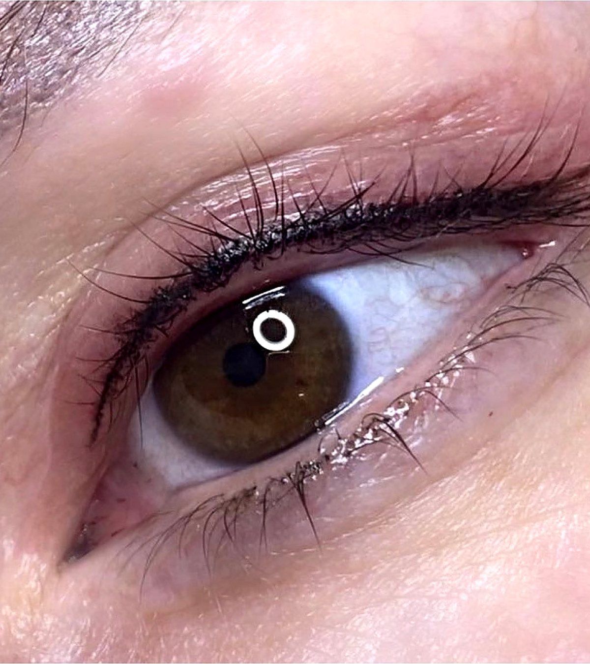 Classic permanent lash line
